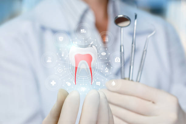  Rm Beach, WA Holistic Dental Care Services Pros